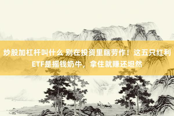 炒股加杠杆叫什么 别在投资里瞎劳作！这五只红利ETF是摇钱奶牛，拿住就赚还坦然