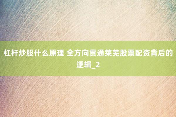 杠杆炒股什么原理 全方向贯通莱芜股票配资背后的逻辑_2